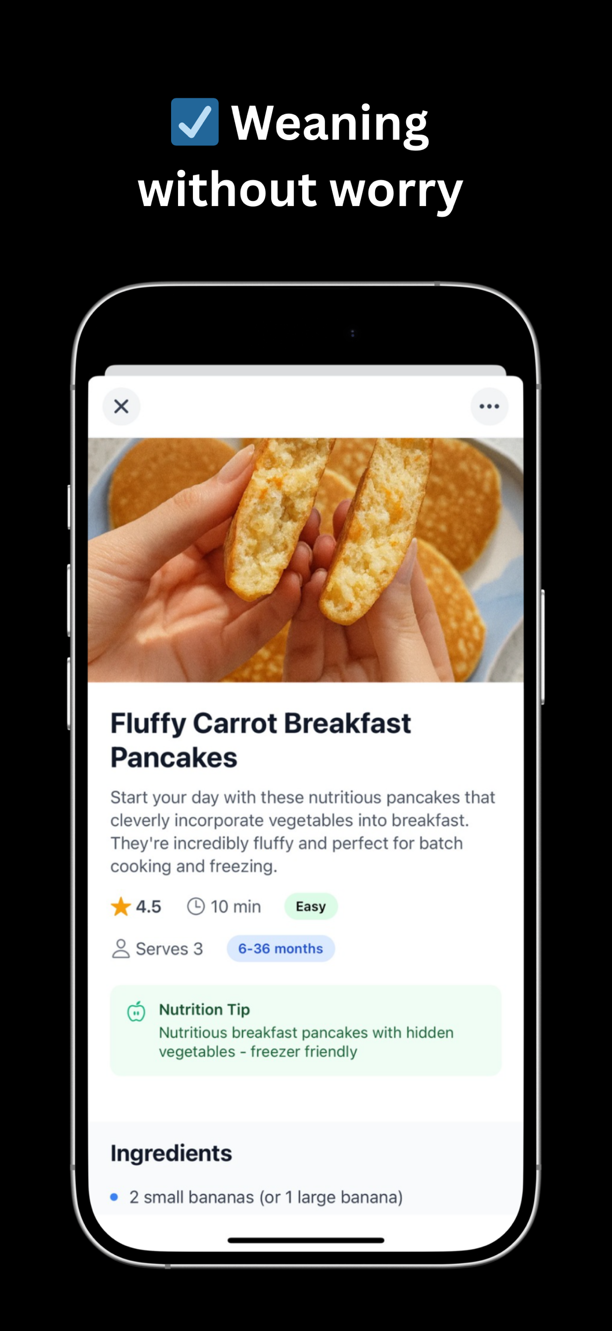 BabyEats AI: Starting Solids screenshot 4: starting solids meal planning interface